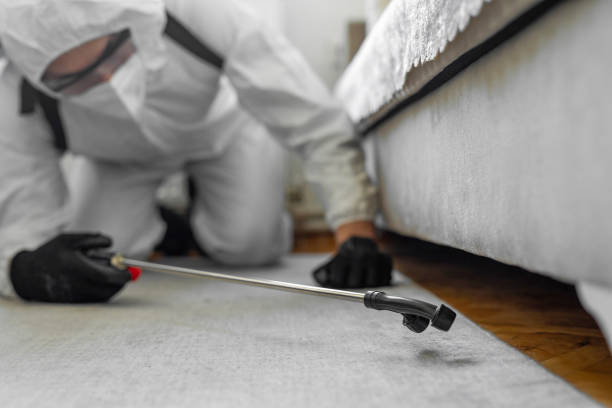 Professional Termite Control technician working in Bells, TX